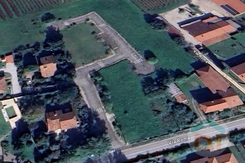 Terra a Gradisca d'Isonzo, Gorizia, Gradisca d'Isonzo - € 80.000 | Ref: DPM80NN10 - foto 21