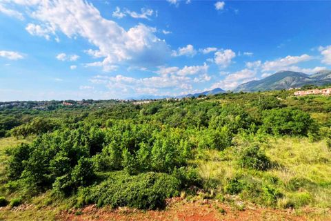 Lejlighed i Scalea, Cosenza, Scalea - € 49.000 | Ref: 1274 - foto 5