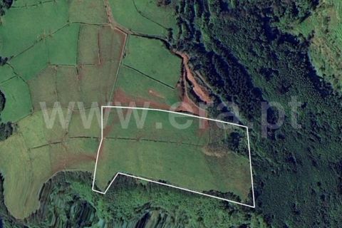 Terra a Lagens, Terceira, Lagens - € 25.000 | Ref: 374250159 - foto 2
