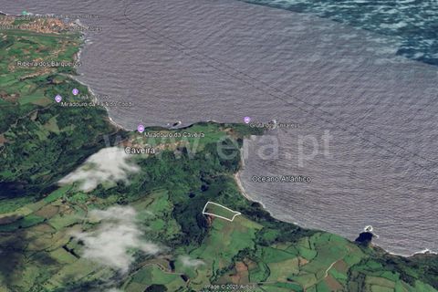 Terra a Lagens, Terceira, Lagens - € 25.000 | Ref: 374250159 - foto 3
