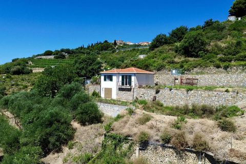 Villa a Cipressa, Imperia, Cipressa - € 490.000 | Ref: D439-565092 - foto 6