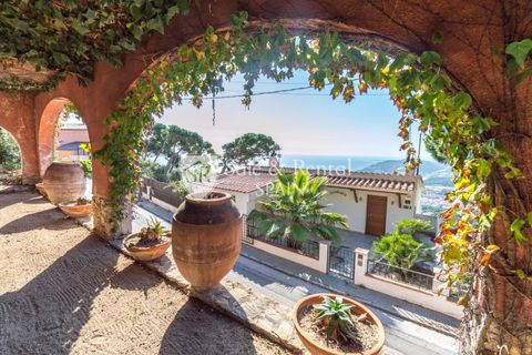Terra a Lloret De Mar, Gerona, Lloret De Mar - € 350.000 | Ref: 1993 - foto 9