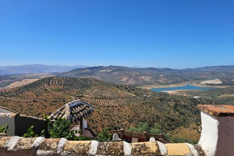 Landejendom i Iznajar, Cordoba, Iznajar - € 495.000 | Ref: el celido - foto 50