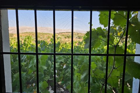 Landejendom i Loja, Granada, Loja - € 380.000 | Ref: dehesa montes - foto 37