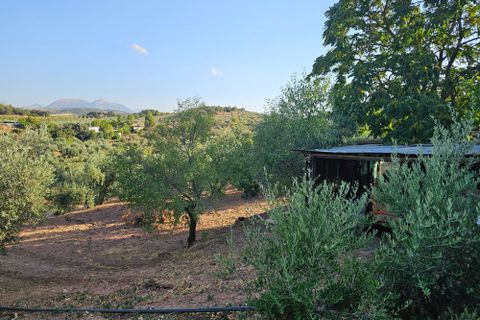 Landejendom i Loja, Granada, Loja - € 380.000 | Ref: dehesa montes - foto 46