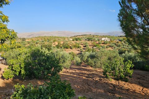 Landejendom i Loja, Granada, Loja - € 380.000 | Ref: dehesa montes - foto 43