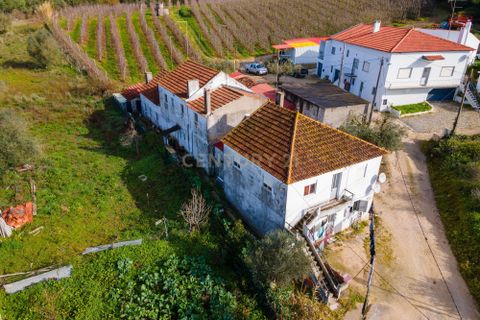 Villa i Alcobaca, Leiria, Alcobaca - € 95.000 | Ref: 0563-01678 - foto 4