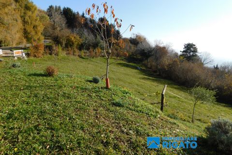 Villa i Borso del Grappa, Treviso, Borso del Grappa - € 300.000 | Ref: 245 - foto 2
