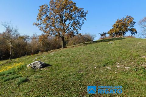Villa i Borso del Grappa, Treviso, Borso del Grappa - € 300.000 | Ref: 245 - foto 12