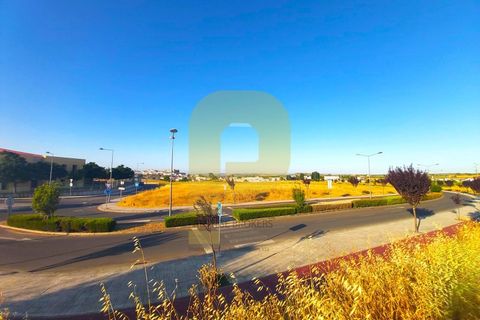 Terra a Castelo de Vide, Portalegre, Castelo de Vide - € 295.000 | Ref: PB2025462 - foto 2