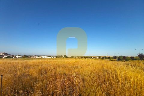 Terra a Castelo de Vide, Portalegre, Castelo de Vide - € 295.000 | Ref: PB2025462 - foto 4