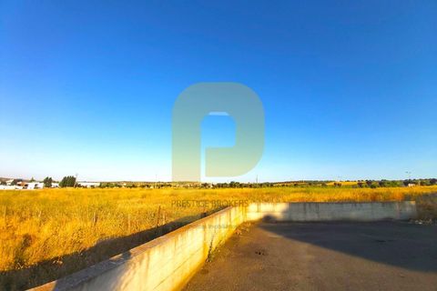 Terra a Castelo de Vide, Portalegre, Castelo de Vide - € 295.000 | Ref: PB2025462 - foto 9