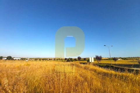 Terra a Castelo de Vide, Portalegre, Castelo de Vide - € 295.000 | Ref: PB2025462 - foto 12