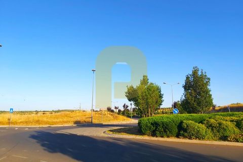 Terra a Castelo de Vide, Portalegre, Castelo de Vide - € 295.000 | Ref: PB2025462 - foto 15