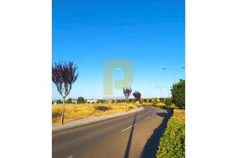 Terra a Castelo de Vide, Portalegre, Castelo de Vide - € 295.000 | Ref: PB2025462 - foto 16