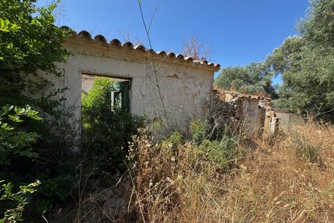Farm i Moncarapacho, Faro, Moncarapacho - € 650.000 | Ref: BPH0143 - foto 1