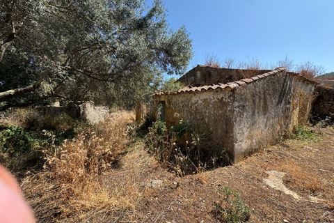 Farm i Moncarapacho, Faro, Moncarapacho - € 650.000 | Ref: BPH0143 - foto 3