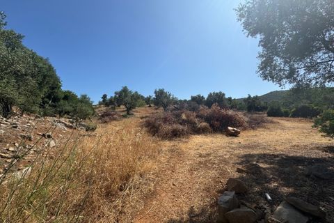 Farm i Moncarapacho, Faro, Moncarapacho - € 650.000 | Ref: BPH0143 - foto 4
