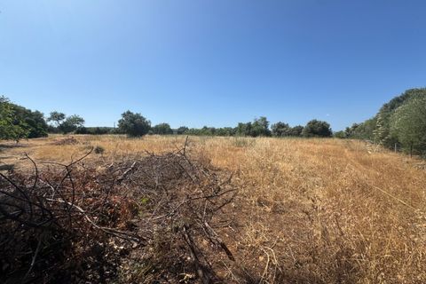 Farm i Moncarapacho, Faro, Moncarapacho - € 650.000 | Ref: BPH0143 - foto 8