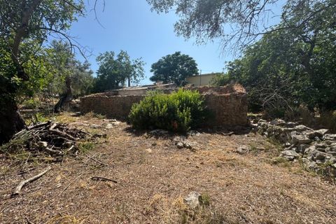 Farm i Moncarapacho, Faro, Moncarapacho - € 650.000 | Ref: BPH0143 - foto 9
