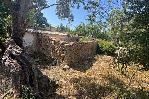 Farm i Moncarapacho, Faro, Moncarapacho - € 650.000 | Ref: BPH0143 - foto 11