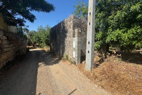 Farm i Moncarapacho, Faro, Moncarapacho - € 650.000 | Ref: BPH0143 - foto 12