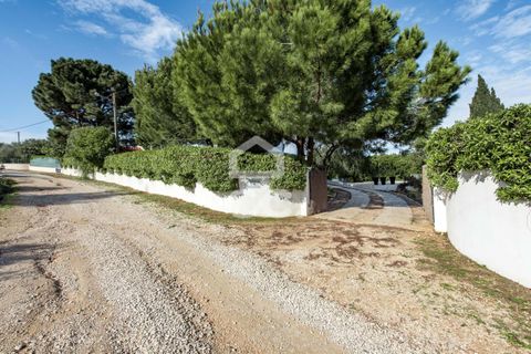 Villa i Silves, Faro, Silves - € 780.000 | Ref: 381/M/00257 - foto 25