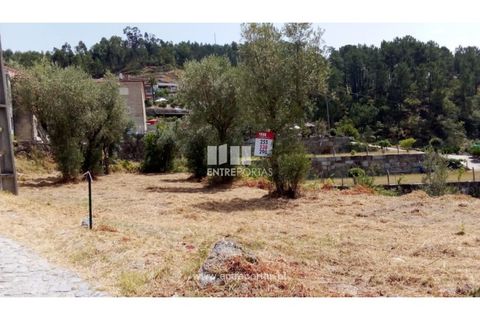 Helårsgrund i Amarante, Porto, Amarante - € 38.500 | Ref: MC09804 - foto 1