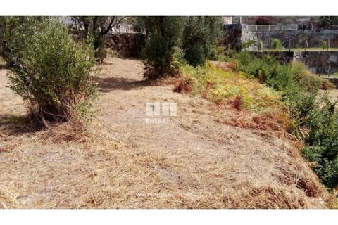 Helårsgrund i Amarante, Porto, Amarante - € 38.500 | Ref: MC09804 - foto 3