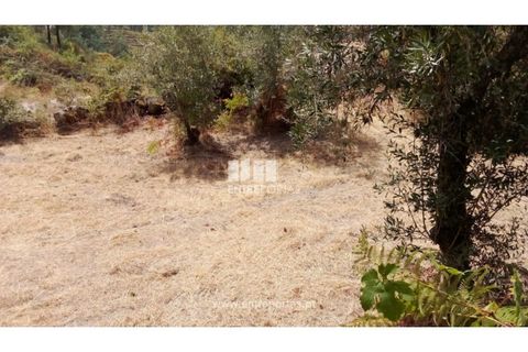 Helårsgrund i Amarante, Porto, Amarante - € 38.500 | Ref: MC09804 - foto 4