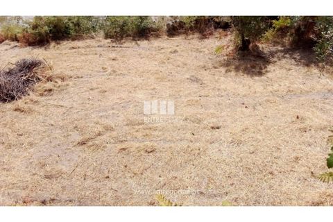 Helårsgrund i Amarante, Porto, Amarante - € 38.500 | Ref: MC09804 - foto 5