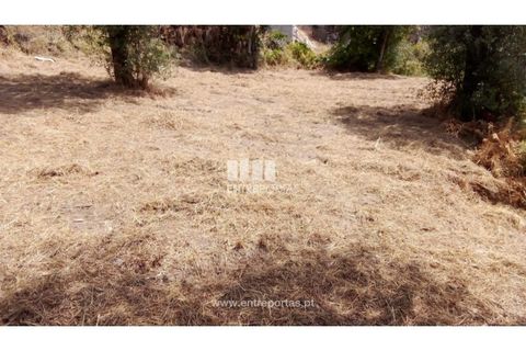Helårsgrund i Amarante, Porto, Amarante - € 38.500 | Ref: MC09804 - foto 6