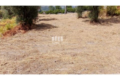 Helårsgrund i Amarante, Porto, Amarante - € 38.500 | Ref: MC09804 - foto 7