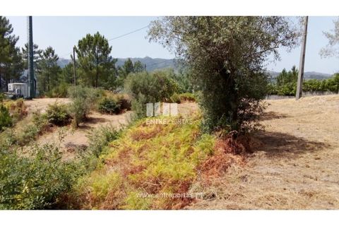 Helårsgrund i Amarante, Porto, Amarante - € 38.500 | Ref: MC09804 - foto 8