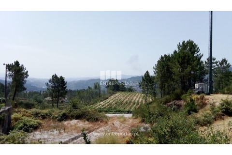 Helårsgrund i Amarante, Porto, Amarante - € 38.500 | Ref: MC09804 - foto 9