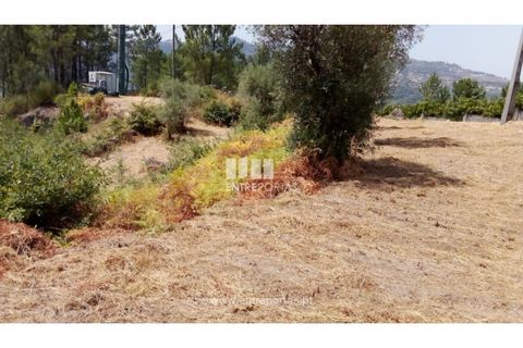 Helårsgrund i Amarante, Porto, Amarante - € 38.500 | Ref: MC09804 - foto 11