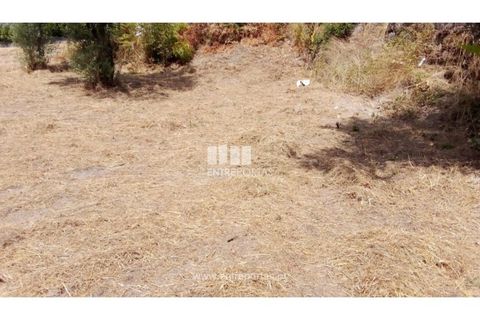 Helårsgrund i Amarante, Porto, Amarante - € 38.500 | Ref: MC09804 - foto 12