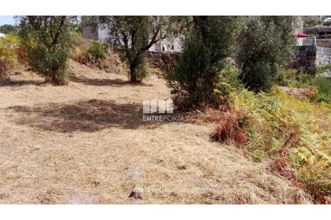 Helårsgrund i Amarante, Porto, Amarante - € 38.500 | Ref: MC09804 - foto 13