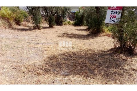 Helårsgrund i Amarante, Porto, Amarante - € 38.500 | Ref: MC09804 - foto 14