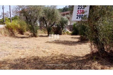 Helårsgrund i Amarante, Porto, Amarante - € 38.500 | Ref: MC09804 - foto 15
