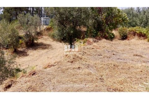Helårsgrund i Amarante, Porto, Amarante - € 38.500 | Ref: MC09804 - foto 16