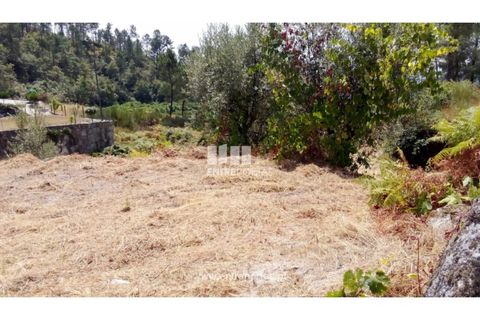 Helårsgrund i Amarante, Porto, Amarante - € 38.500 | Ref: MC09804 - foto 17