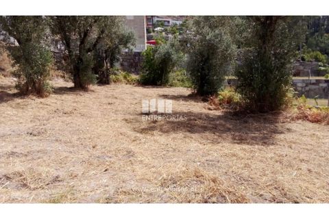 Helårsgrund i Amarante, Porto, Amarante - € 38.500 | Ref: MC09804 - foto 18