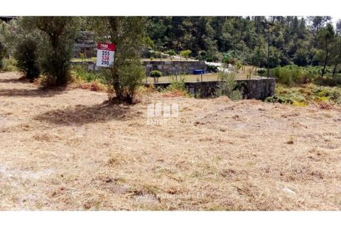 Helårsgrund i Amarante, Porto, Amarante - € 38.500 | Ref: MC09804 - foto 19