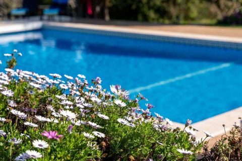 Villa i Lagoa, Faro, Lagoa - € 1.750.000 | Ref: V31075 - foto 41