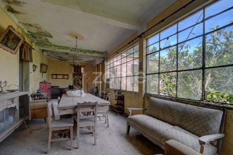 Farm i Azambuja, Lisbon, Azambuja - € 490.000 | Ref: ZMPT577536 - foto 8