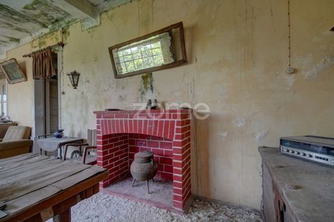 Farm i Azambuja, Lisbon, Azambuja - € 490.000 | Ref: ZMPT577536 - foto 9