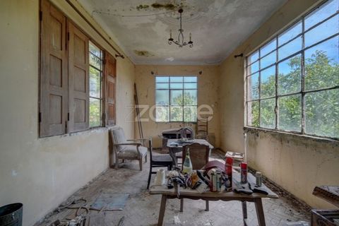Farm i Azambuja, Lisbon, Azambuja - € 490.000 | Ref: ZMPT577536 - foto 10