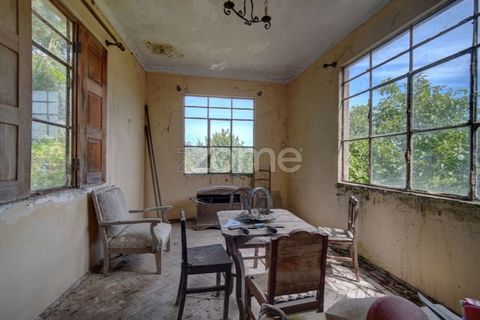 Farm i Azambuja, Lisbon, Azambuja - € 490.000 | Ref: ZMPT577536 - foto 11