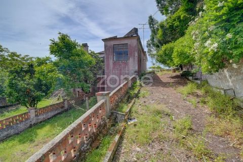 Farm i Azambuja, Lisbon, Azambuja - € 490.000 | Ref: ZMPT577536 - foto 14